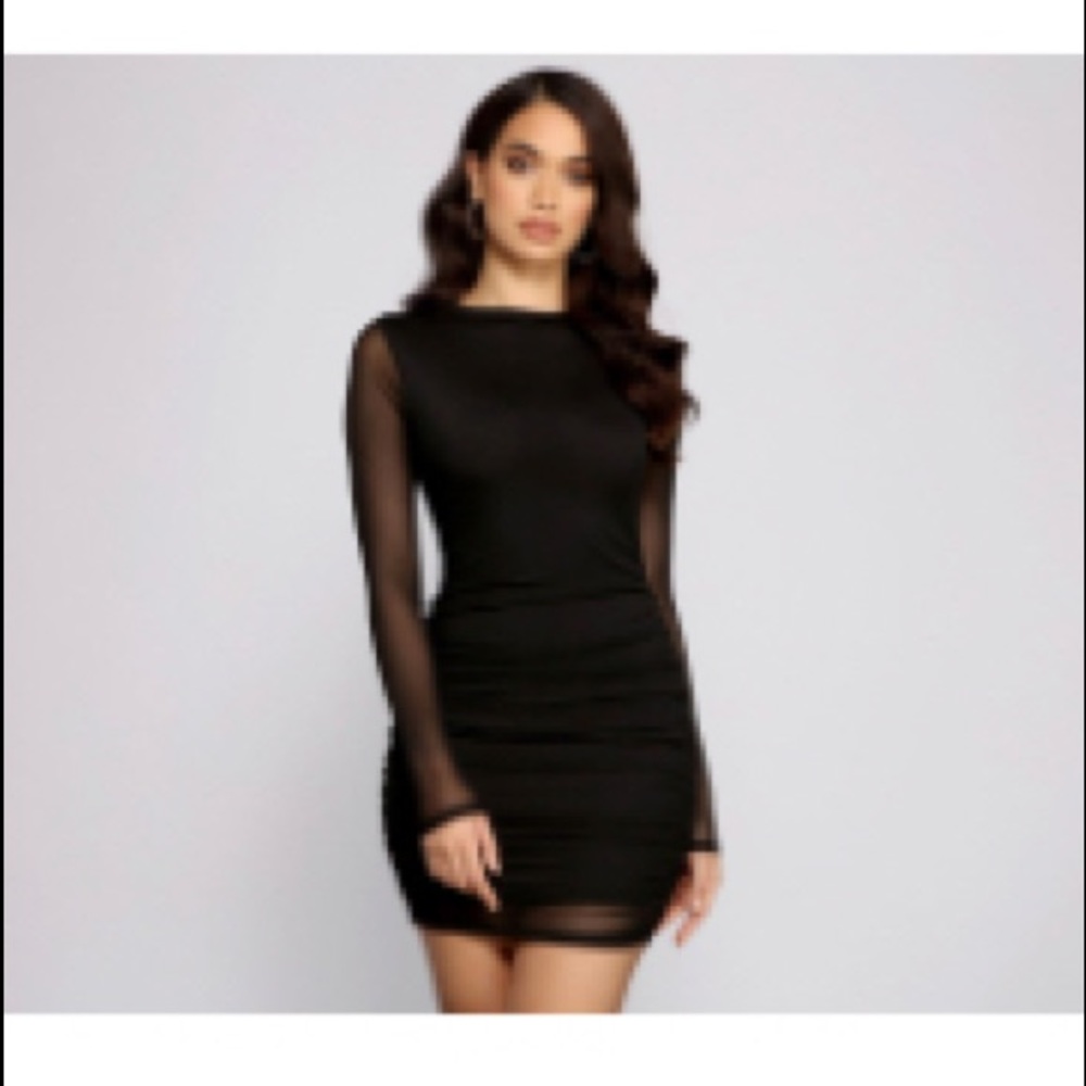 New with tags Windsor Mesh Mini Dress
